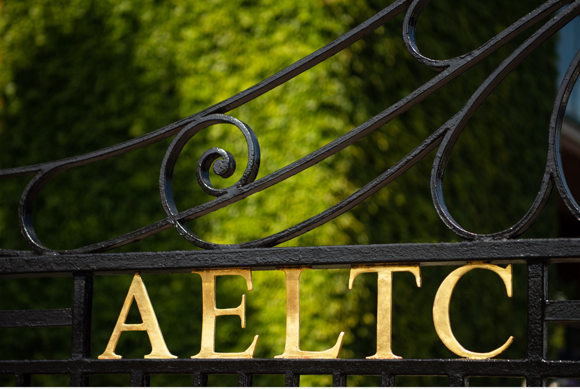 Rolex e Wimbledon: il tempio della tradizione del tennis