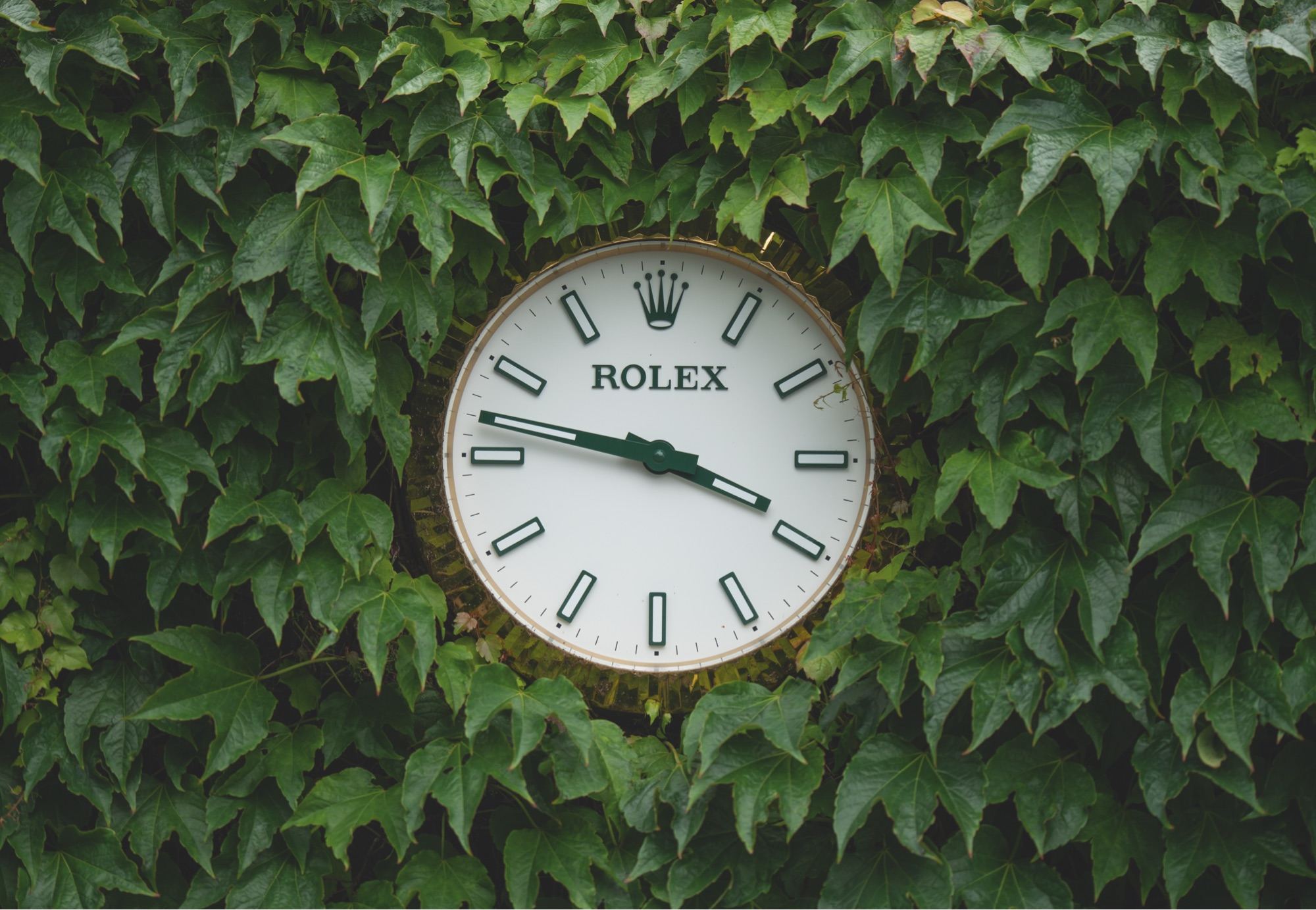 Rolex e lo sport