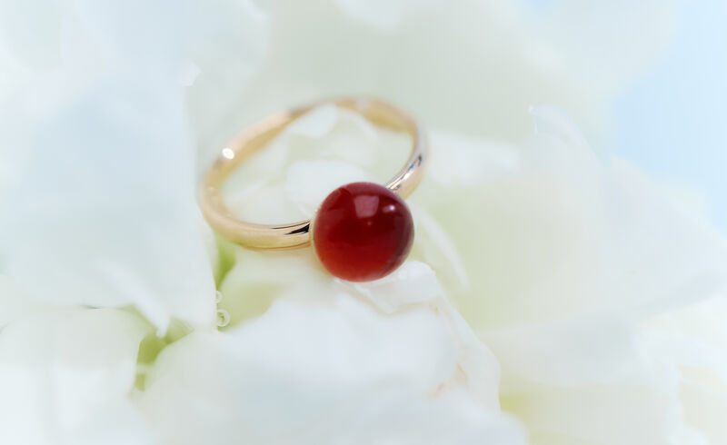 Florilège de Vie - Scrigno di eleganza, eccellenza e sincerità