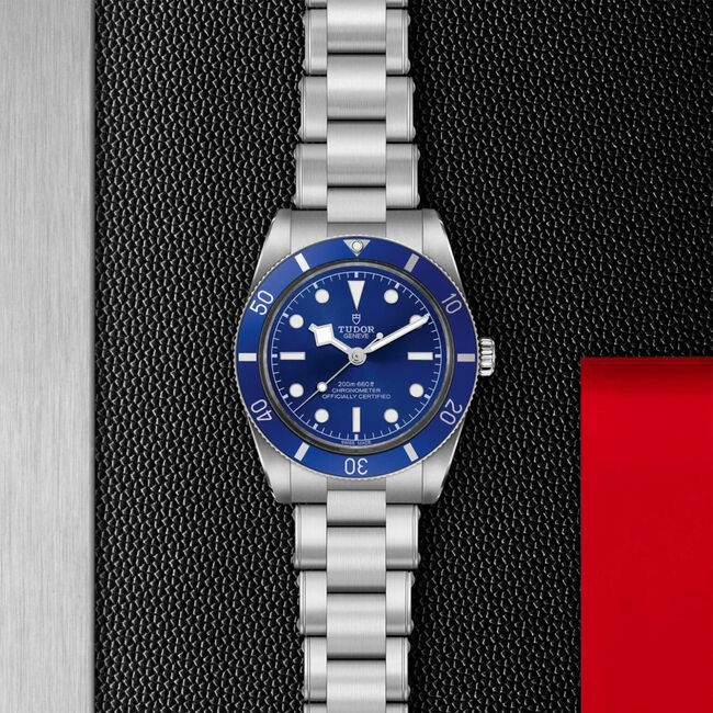 Black Bay 54