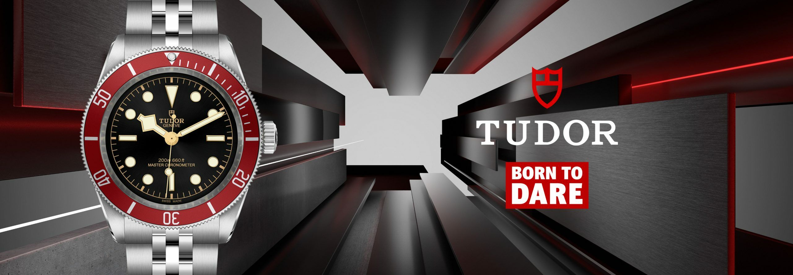 Il marchio Tudor - .
