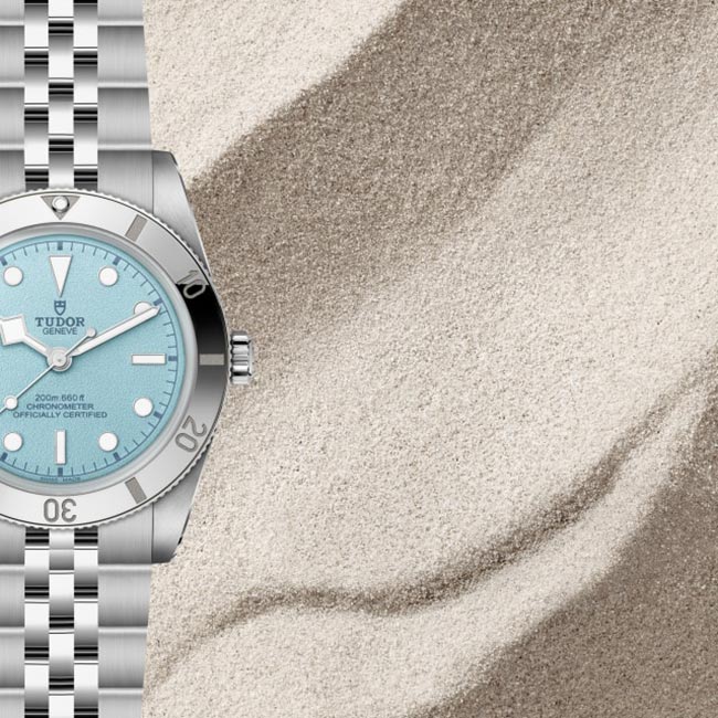 Tudor Black Bay 54  - bg5